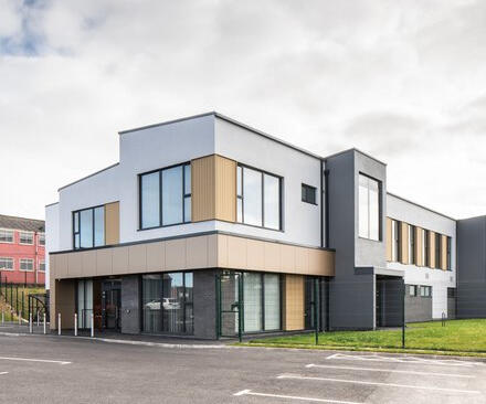 Irish stick fighting poster